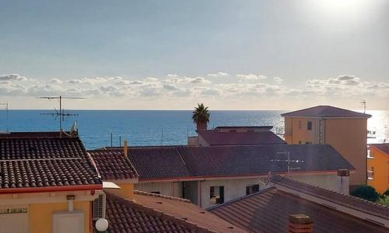 Primo Piano Vista Ma...