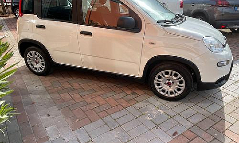 Fiat Panda 1.0 Firef...