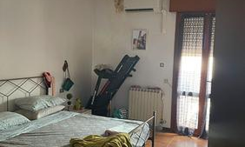 Centro Adria...