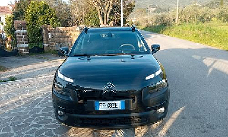 C4 Cactus Unipro Km ...