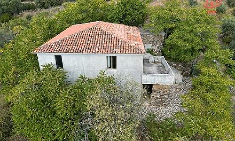 Castellabate Con Ter...