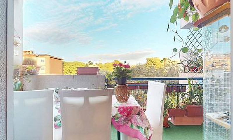 Appartamento - Cagli...