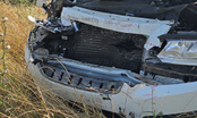 Auto Incidentata...