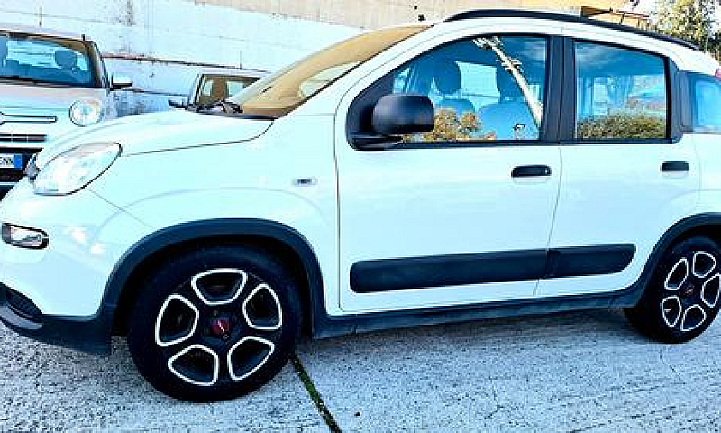 Panda 1.0 Hybrid Cro...