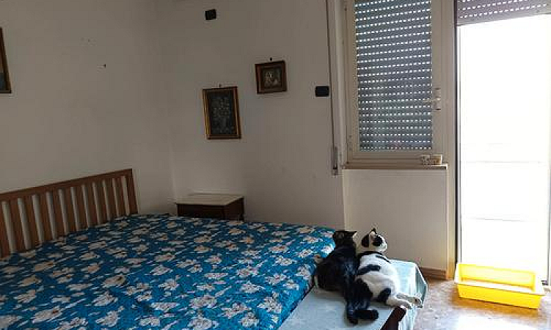 Nuda Proprietà A Nap...