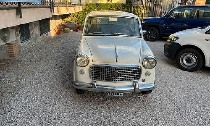 Fiat 1100 Special 19...