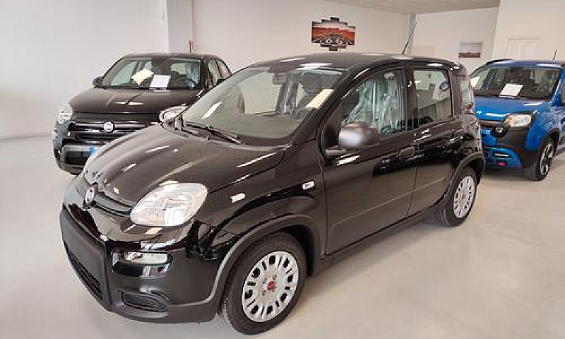 Fiat Panda 1.0 Firef...