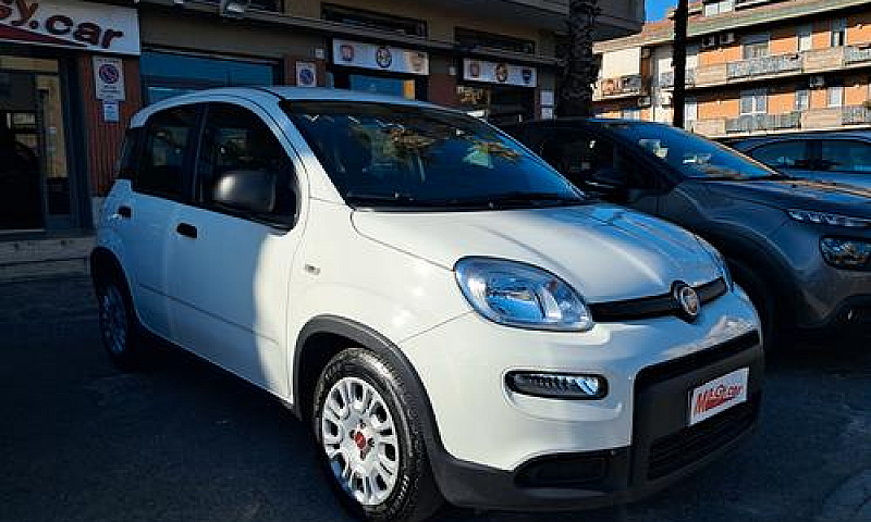 Fiat Panda 1.0 Firef...