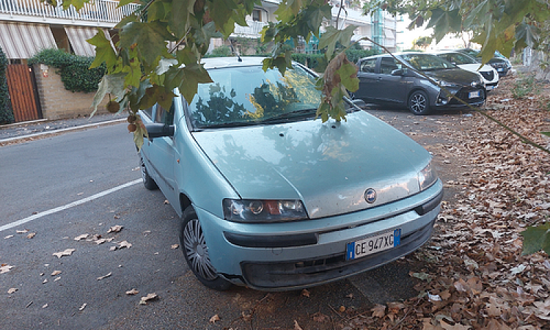 Punto 2003...
