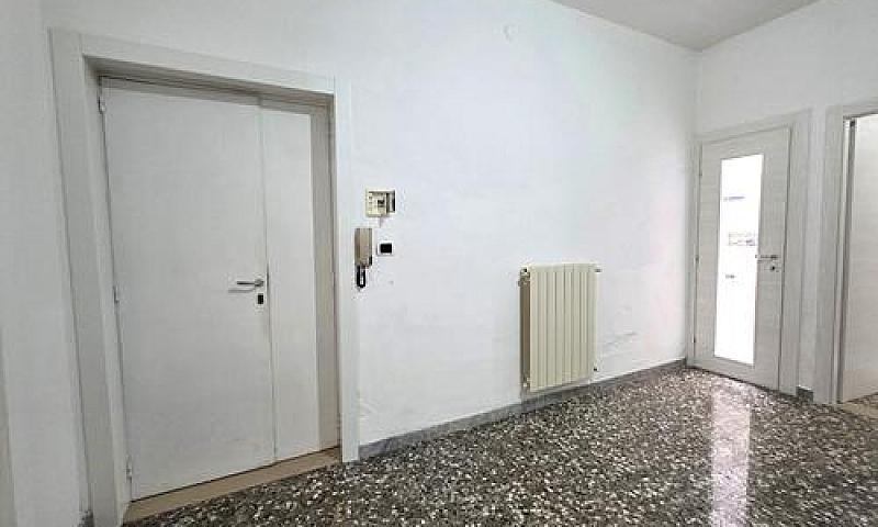 Piano Terra, Triloca...