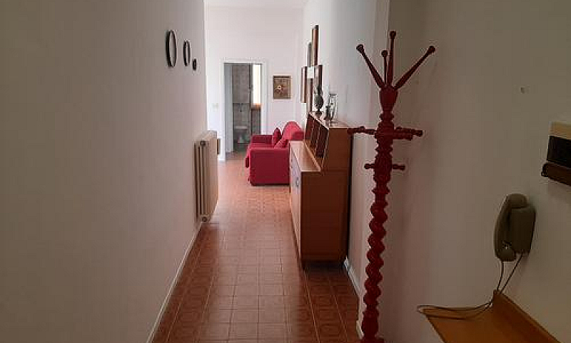 Spazioso Bilocale Zo...