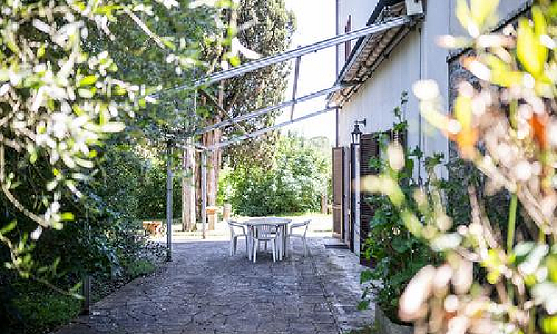 Appartamento A Ascia...