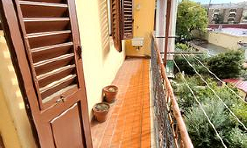 Statuto: Palazzo Ann...