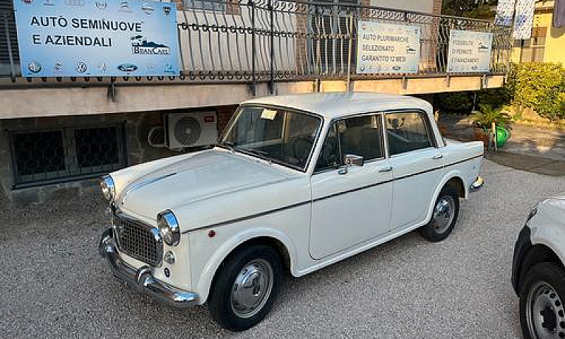 Fiat 1100 Special 19...