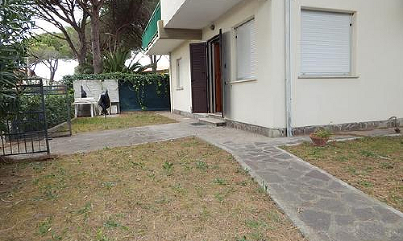 M102-M.castagneto-Am...