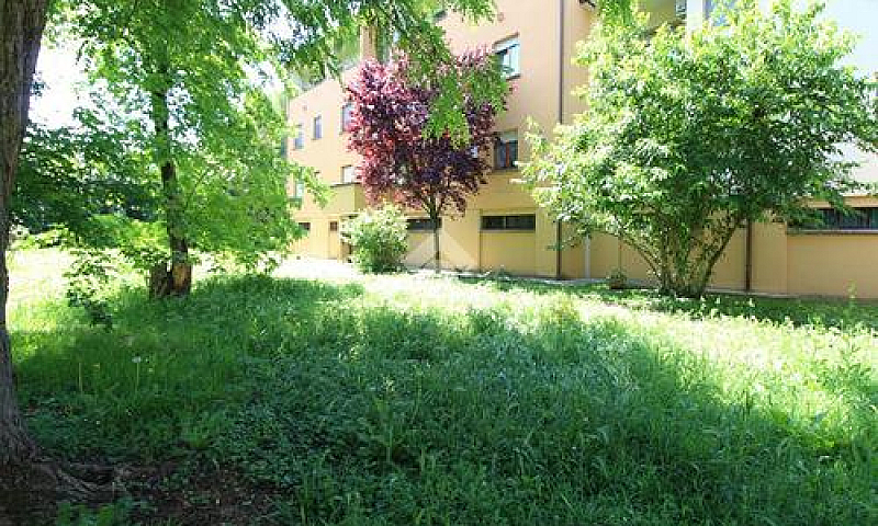 3 Locali A Galliera...