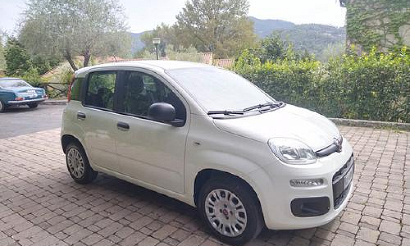 Fiat Panda 1.2 Easy ...