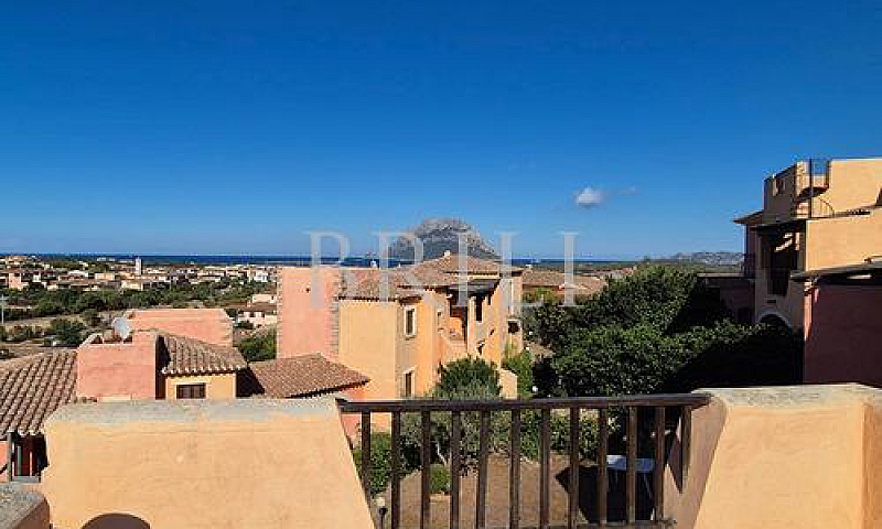 Porto San Paolo - Bi...