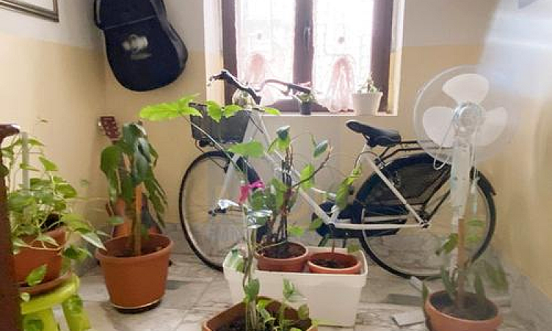 Casa Singola Zona Vi...