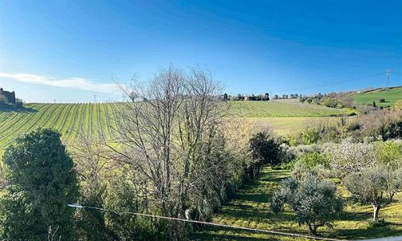 Candia ( Rif. E96-34...