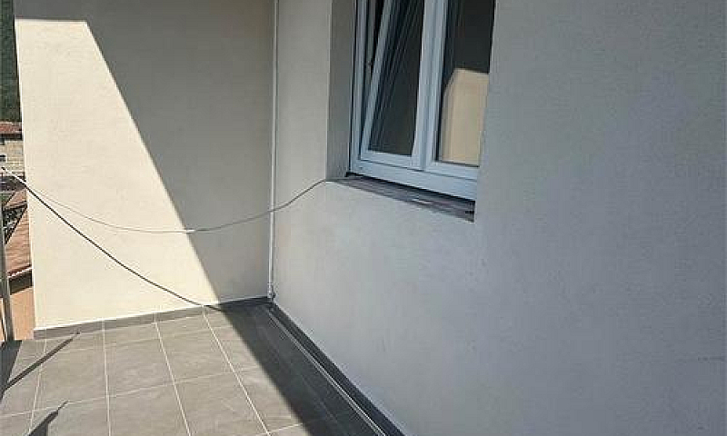 3 Camere...