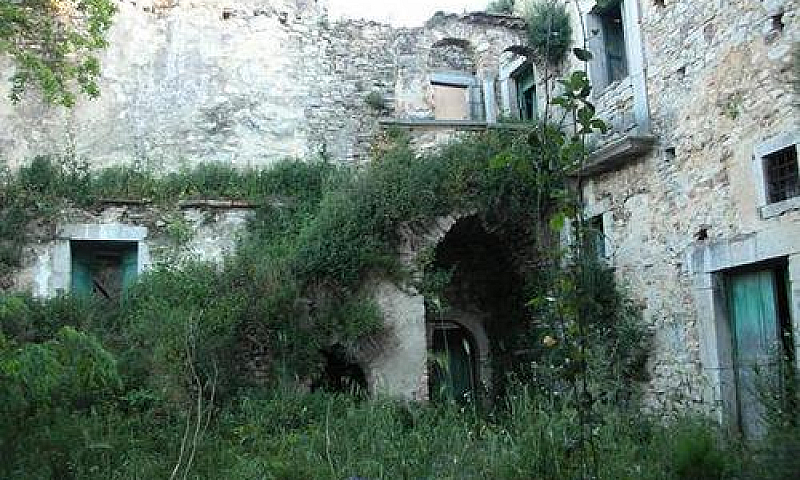 Intero Stabile - Pag...