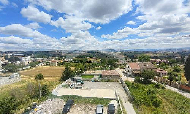 Appartamento - Campo...