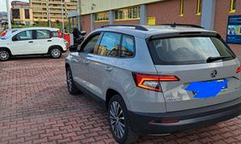Skoda Karoq - 2019...