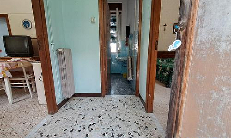 Appartamento - Via P...