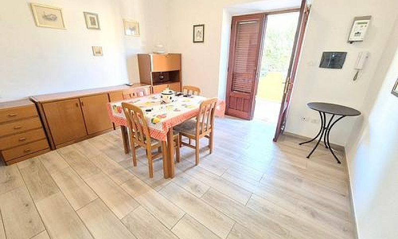Appartamento Primo P...