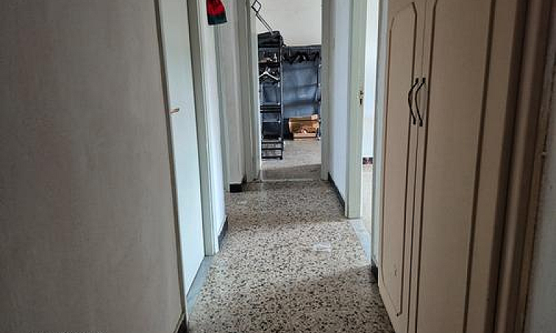 Quadrivano Ultimo Pi...