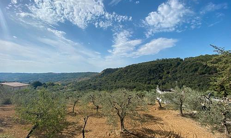 Campagna Con Apparta...