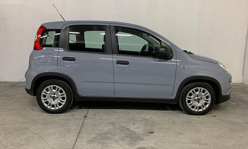 Fiat Panda Firefly H...
