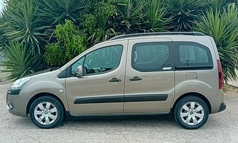 Citroen Berlingo Mul...