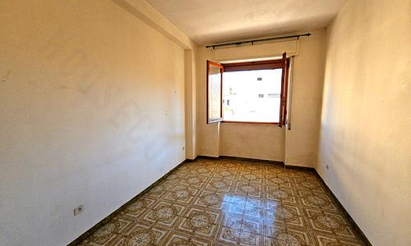Zona Viale Colombo: ...