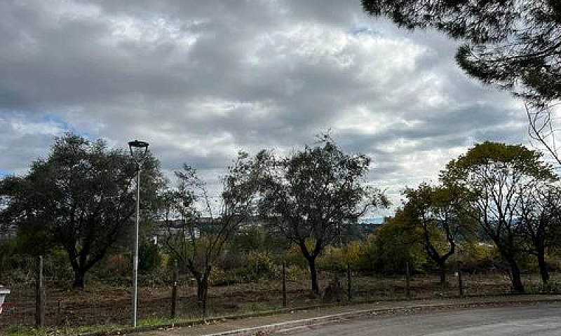 Ferro Di Cavallo Con...