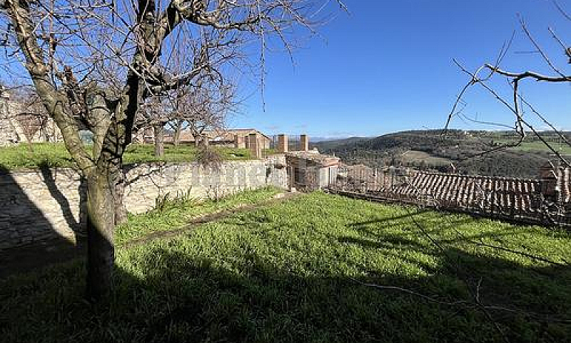 Amelia Palazzetto Ne...