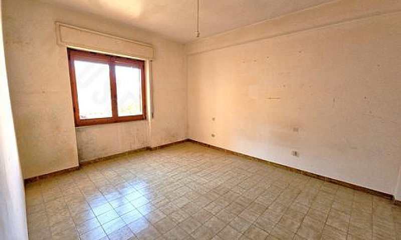 Zona Viale Colombo: ...