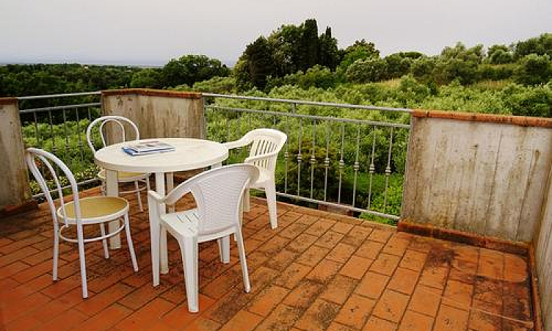 Guardistallo, Vista ...