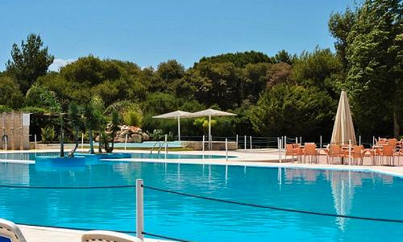 Victor Village Setti...