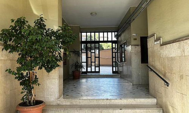 4 Vani Zona Servita...
