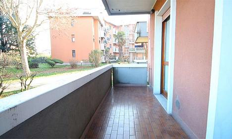 Roncello - Grande 3 ...