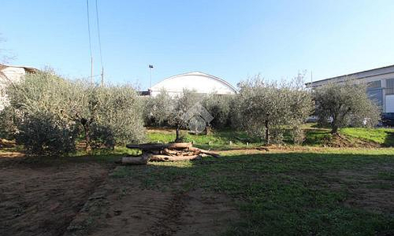 3 Locali A Lamporecc...