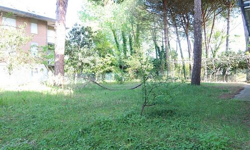 Trilocale A Cervia...