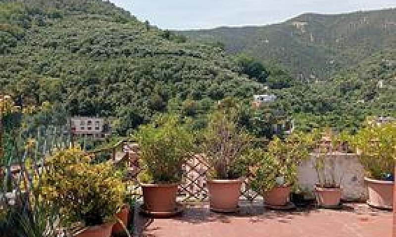 Privato Vende Appart...