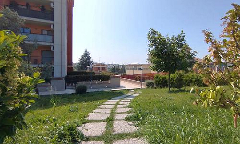 Parco Dei Pini - 70 ...