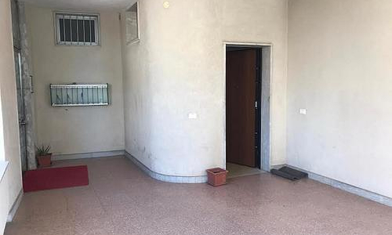 Quadrivani Pressi Ci...