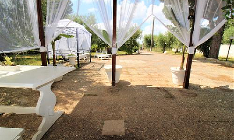 Villa Singola Con Am...