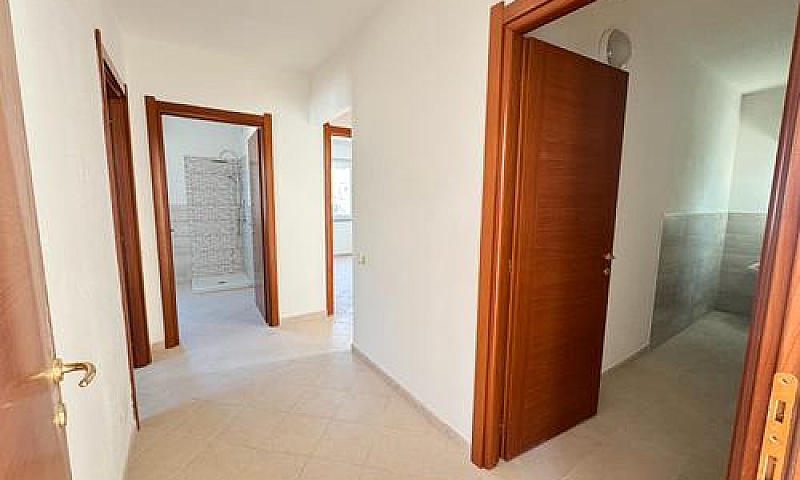 Pari Al Nuovo, Quadr...