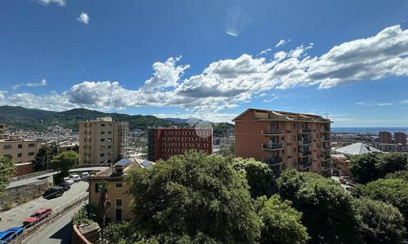 5 Locali A Genova...